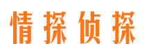 大石桥侦探公司